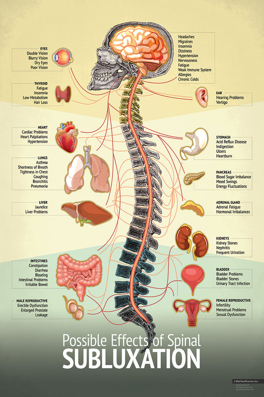 Chiropractic Spinal "Subluxation" Nerve and Symptom Chart