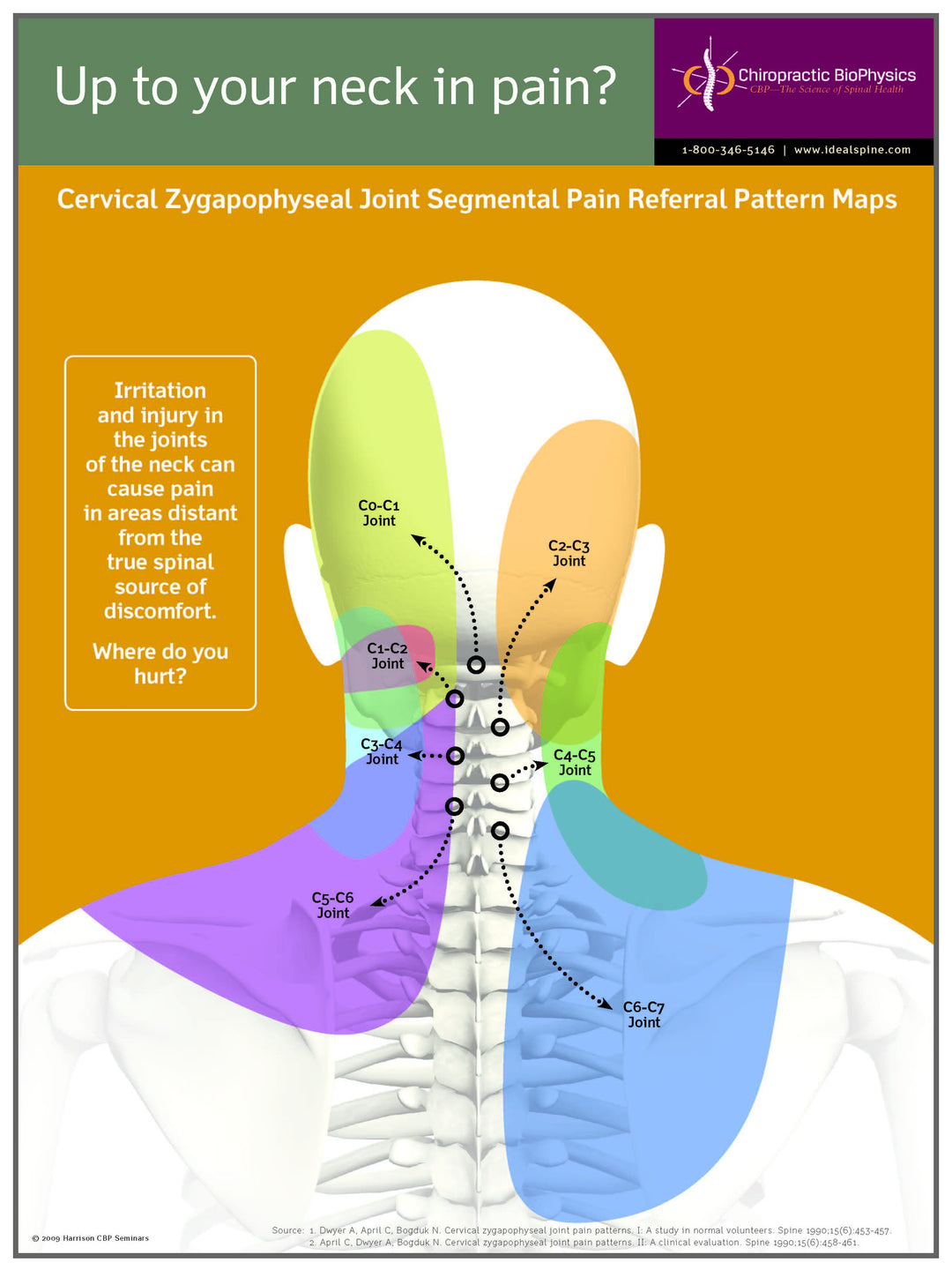 Neck Pain Sclerotome